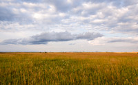 Prairie and Clouds