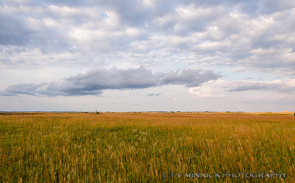Prairie and Clouds
