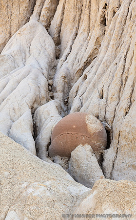Cannonball Concretion