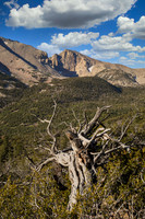 Great Basin Vista
