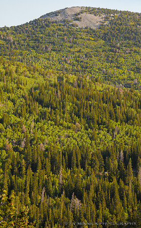 Mountainside