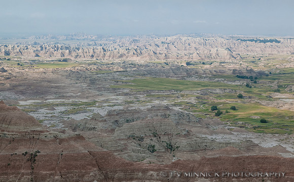 Pinnacles View