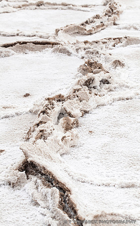 Sculptured Salt