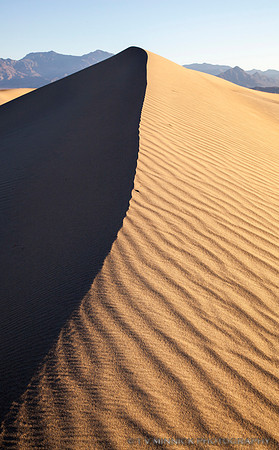Light and Shadow