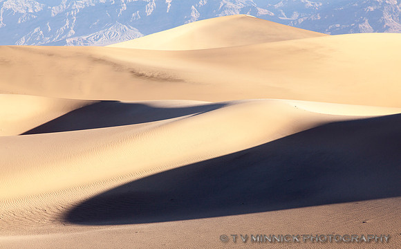 Sand and Shadows