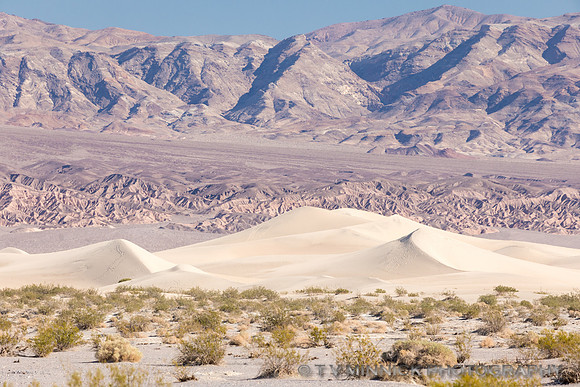 Mesquite Dunes Vista