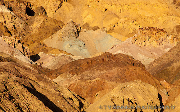 Artist's Palette