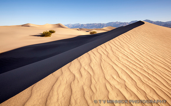 Mesquite Dunes at Sunrise