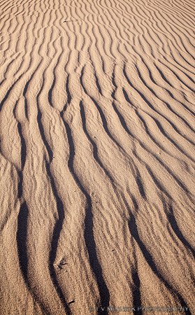 Dune Ripples