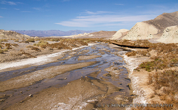 Salt Creek