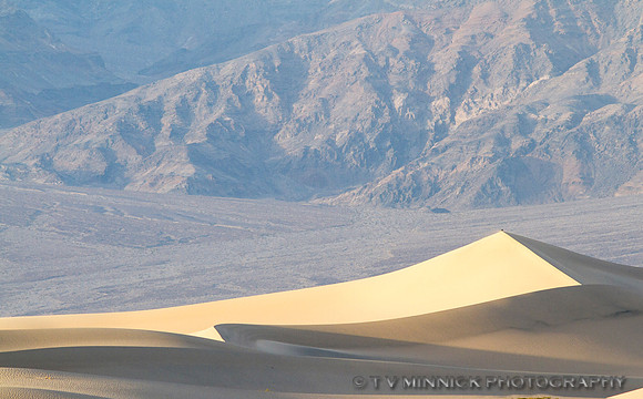 Dune