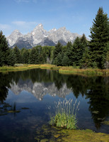 Schwabacher's Landing