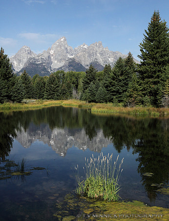 Schwabacher's Landing