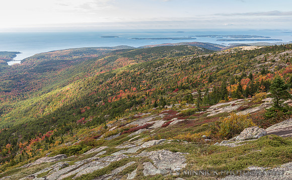 Cadillac Mountain Vista 2