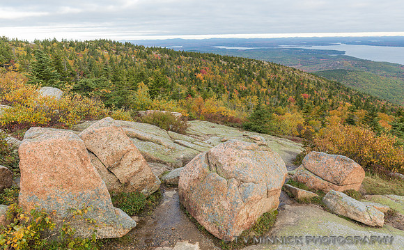 Cadillac Mountain Vista