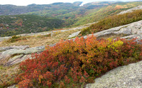 Summit Fall Foliage