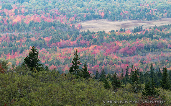 Cadillac Mountain Vista 3