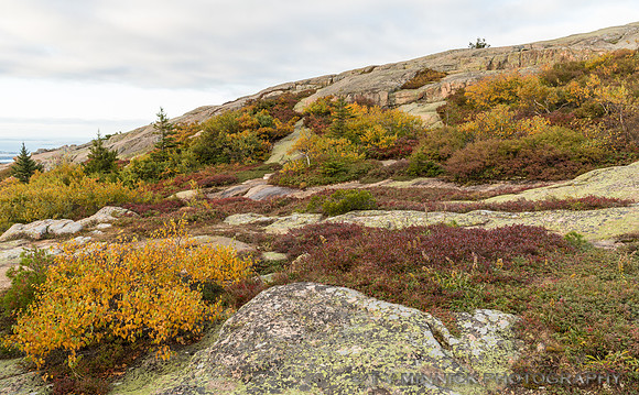 Summit of Cadillac Mountain