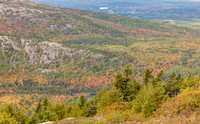 Mountainside in Autumn