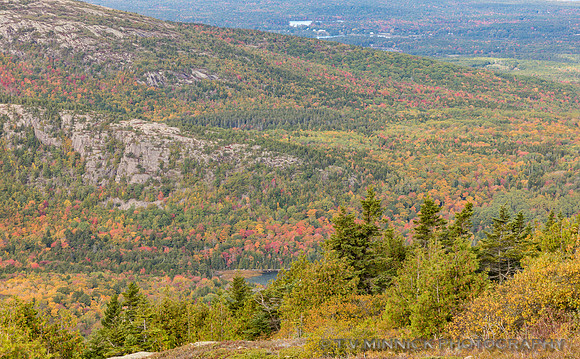 Mountainside in Autumn