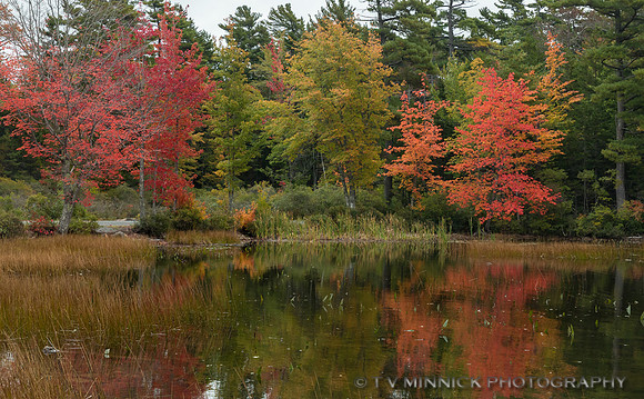 Eagle Lake Shoreline