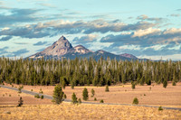 Desert Cone