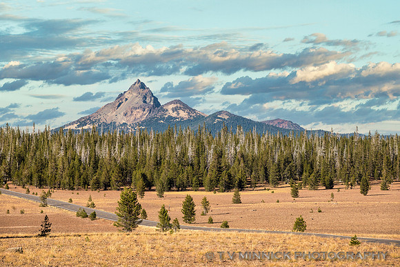 Desert Cone