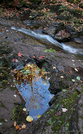 Miner's Creek Reflection
