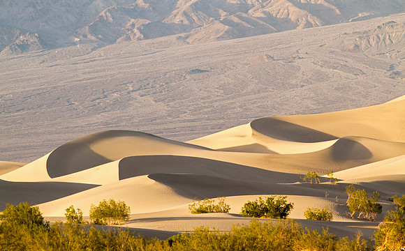 Mesquite Dunes at Sunset