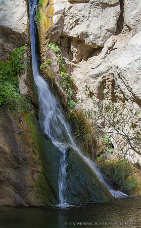 Darwin Falls