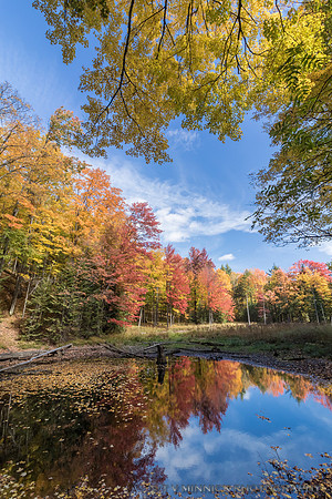 Pond in the Sylvania Wilderness