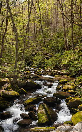 Roaring Fork Stream