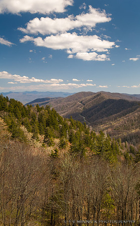 View from Clingman's Dome