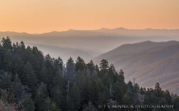 Misty Dawn