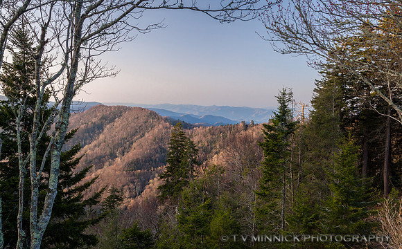 Newfound Gap Vista