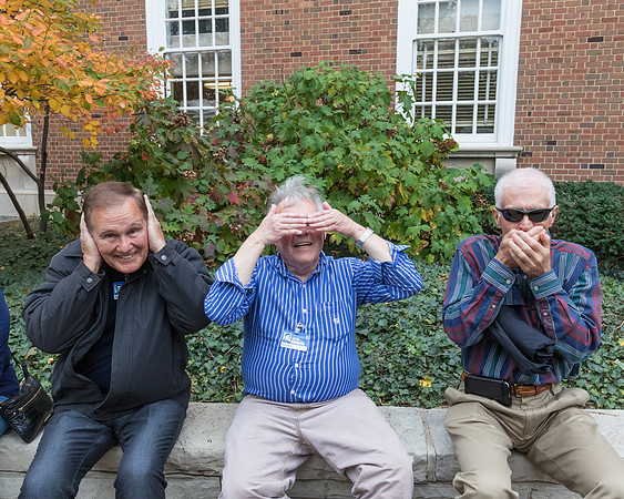 Three Monkeys
