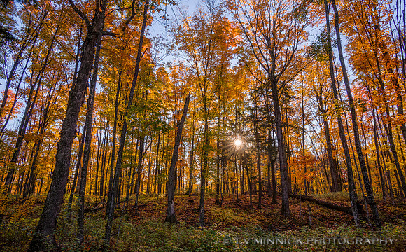 Wisconsin Northwoods in Autumn