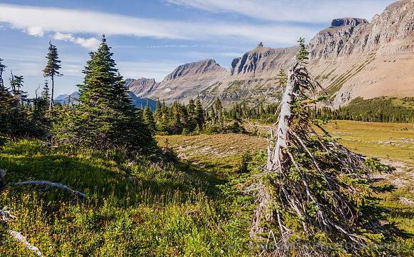 Glacier High Country