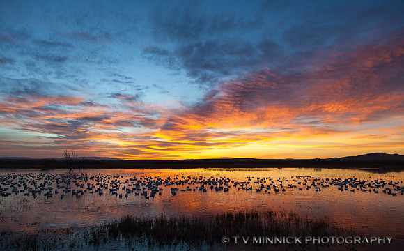 Dawn over the Marsh