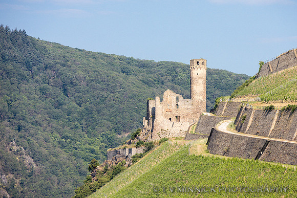 Ehrenfels Castle