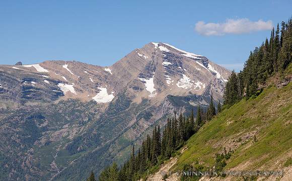 Mountain Vista