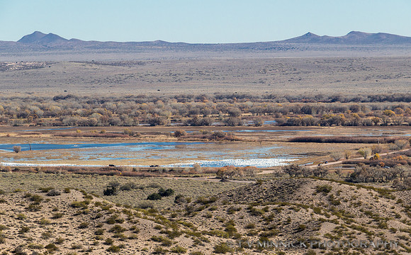 Canyon Trail View