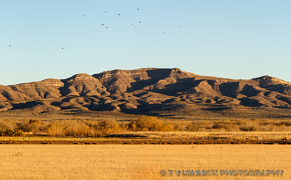 San Pascual Mountains
