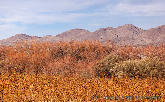 Autumn in the Refuge