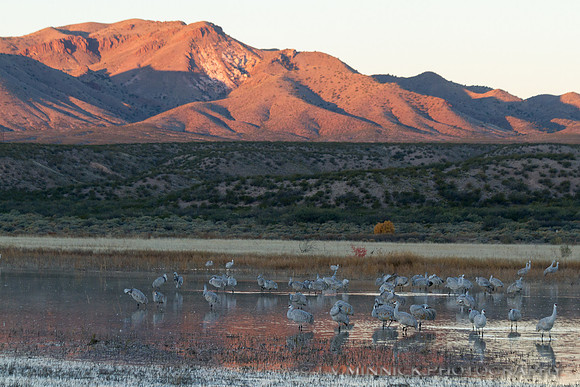 Crane Pool and Chupadera Peak
