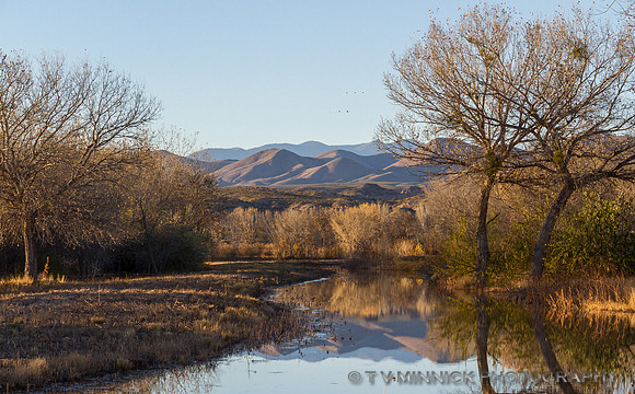 Fall Scene at the Refuge