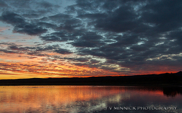 Sunset at the Crane Pools