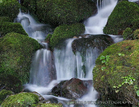 Waterfall in Olympic NP