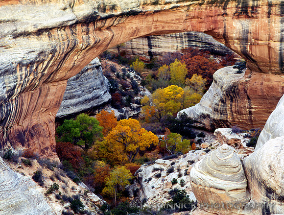 Mesa Verde NM