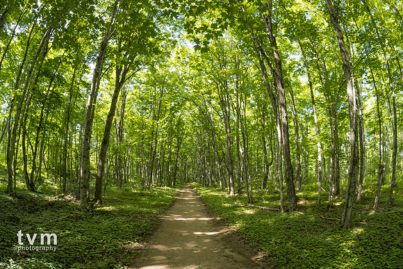 Trail to Chapel Beach